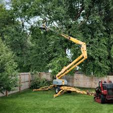 Best Tree Risk Assessment  in Gaston, SC