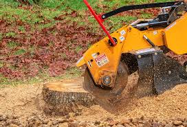 Best Tree Removal  in Gaston, SC