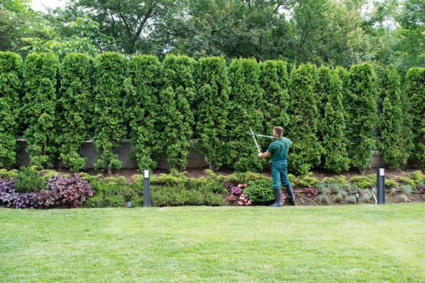 Best Aeration Services  in Gaston, SC