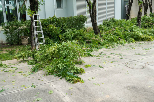 Best Lawn Maintenance Plans  in Gaston, SC
